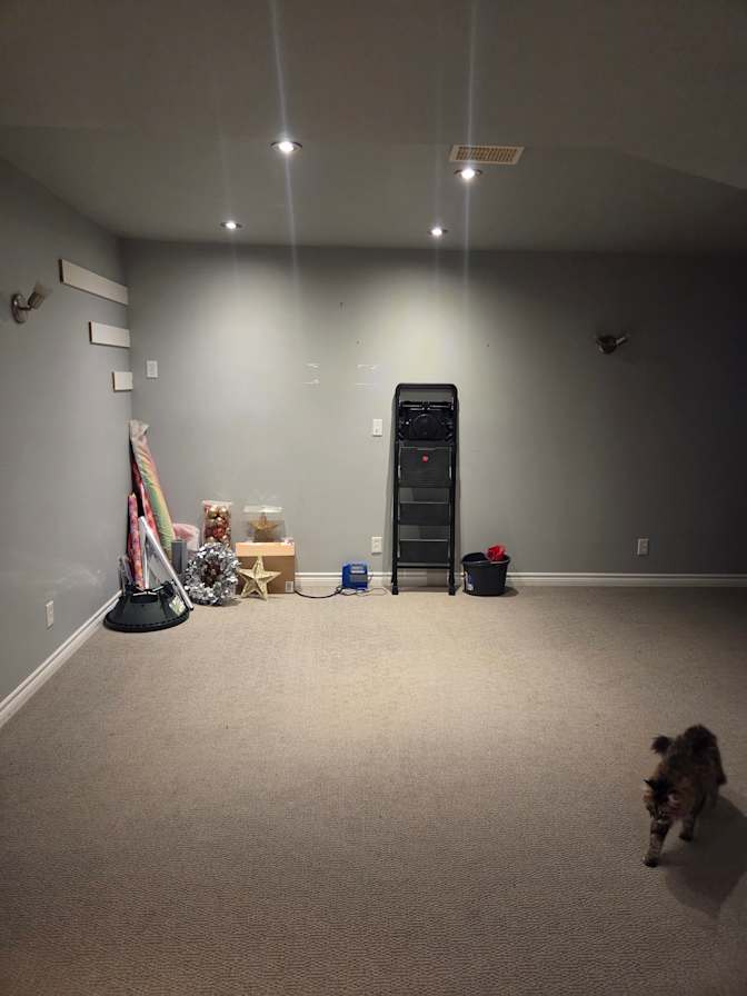 Tara's room