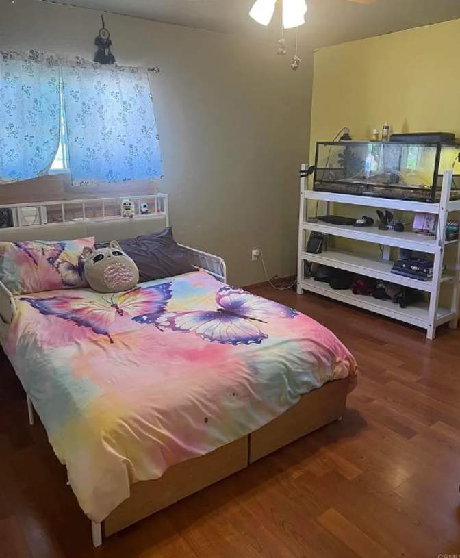 Omer Nezam's room