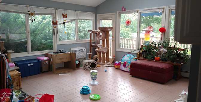 Lolly's room