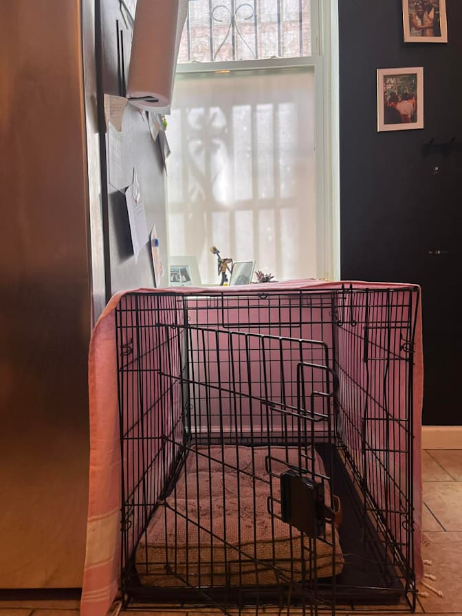 Sienna's room