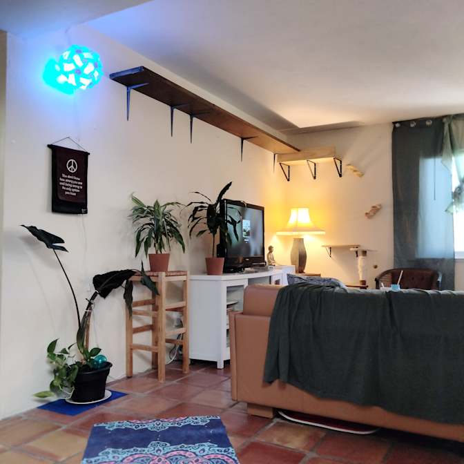 Silvia's room