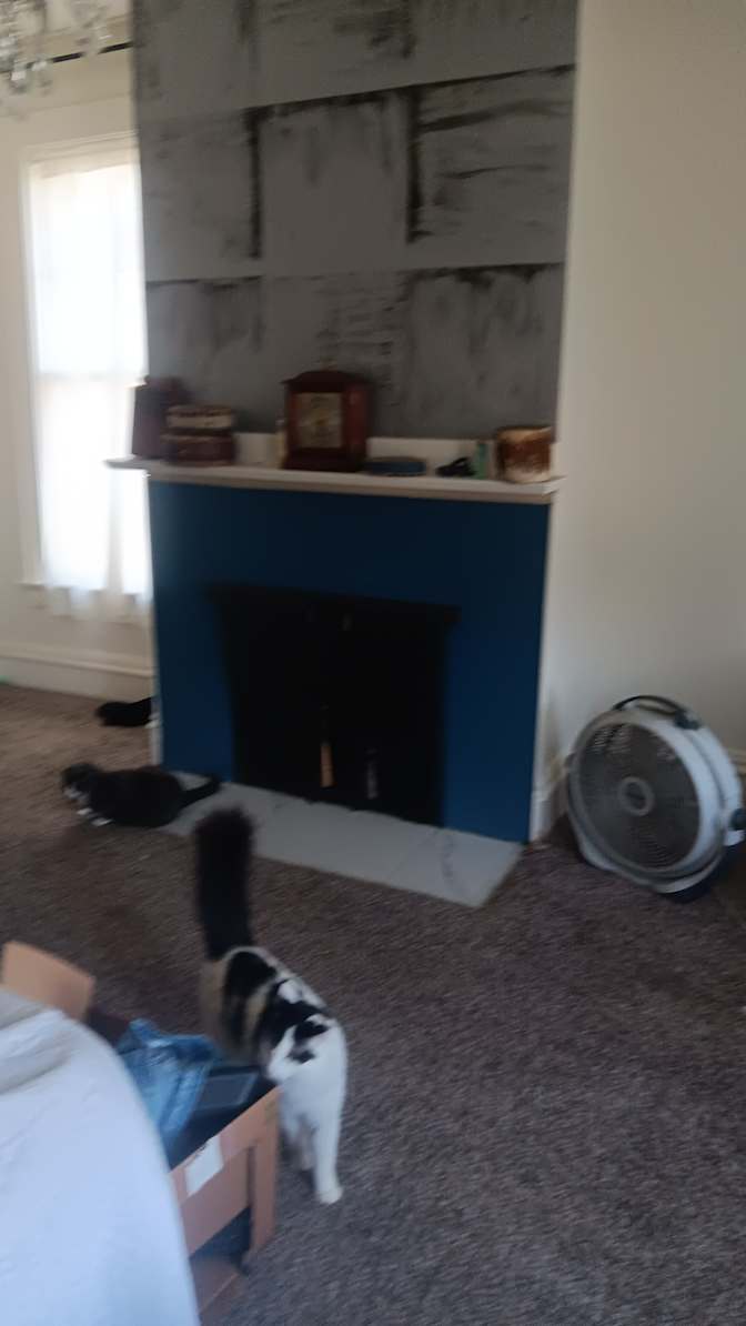 Cindy's room