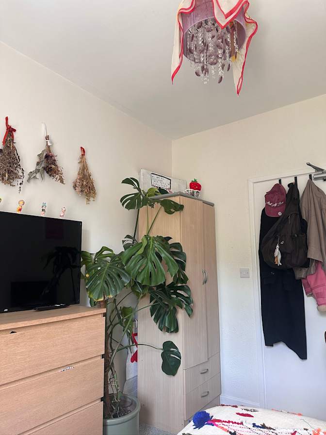 Lucy's room