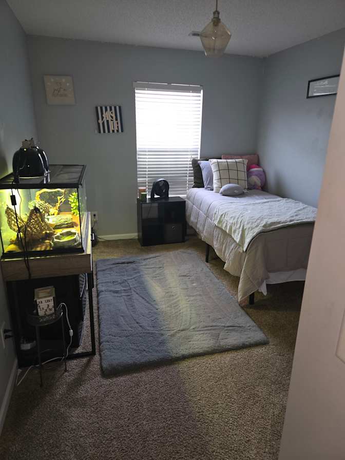 Angela Wanek's room