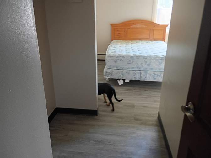 Abby Leek's room