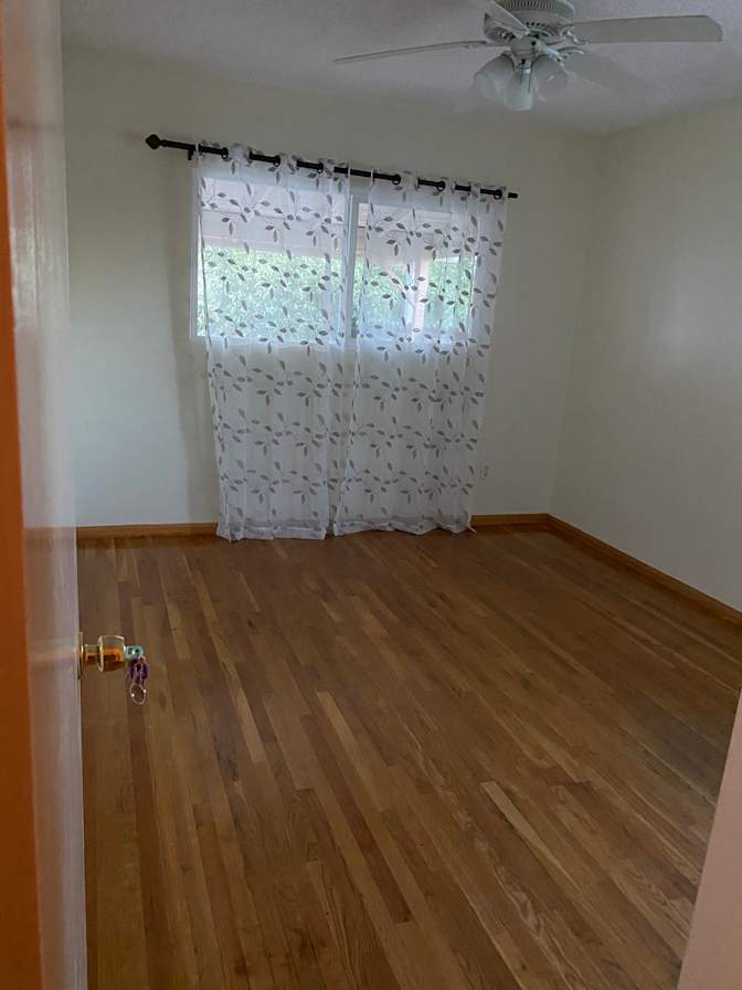 Paula's room