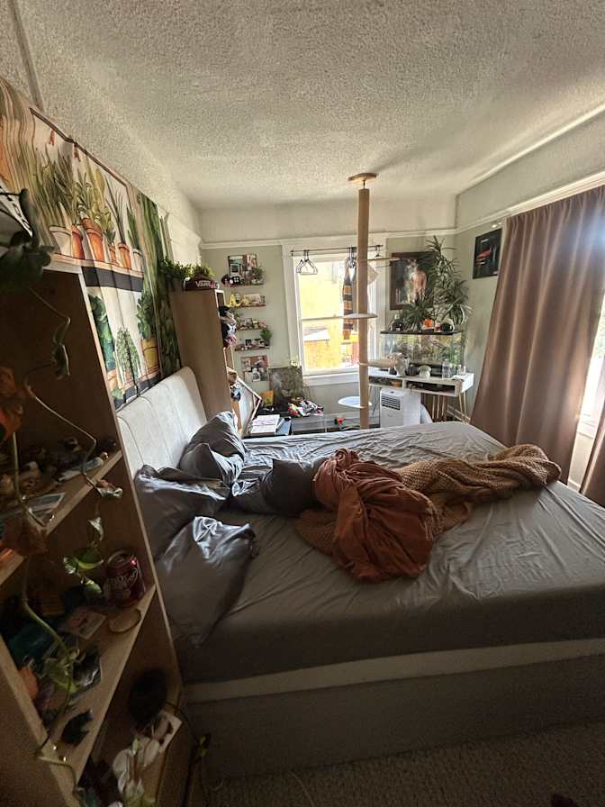 Emmett's room