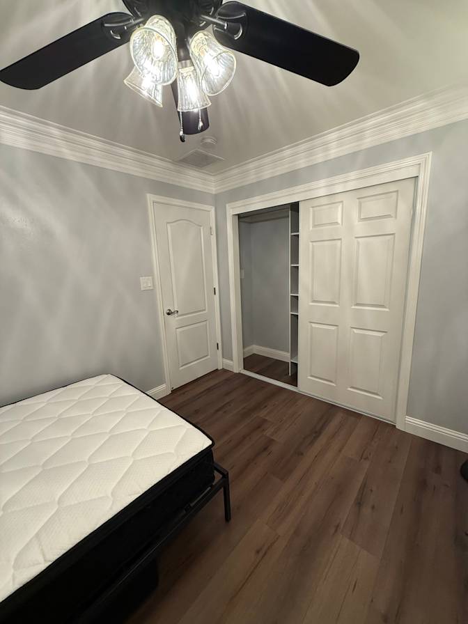 Nicol's room
