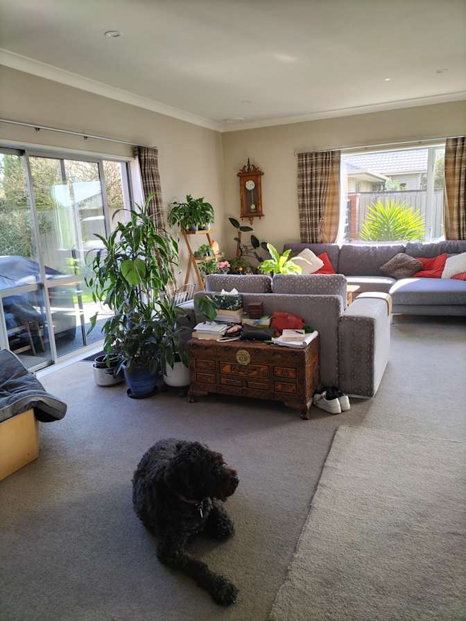 JoAnne Fryer's room