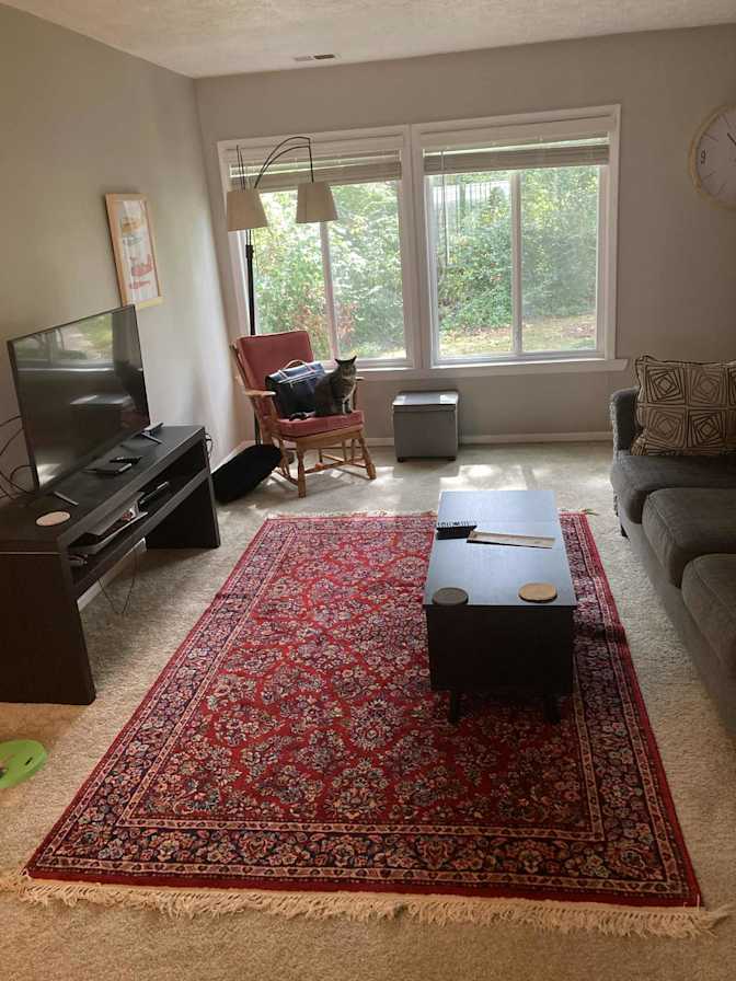 Sophia's room