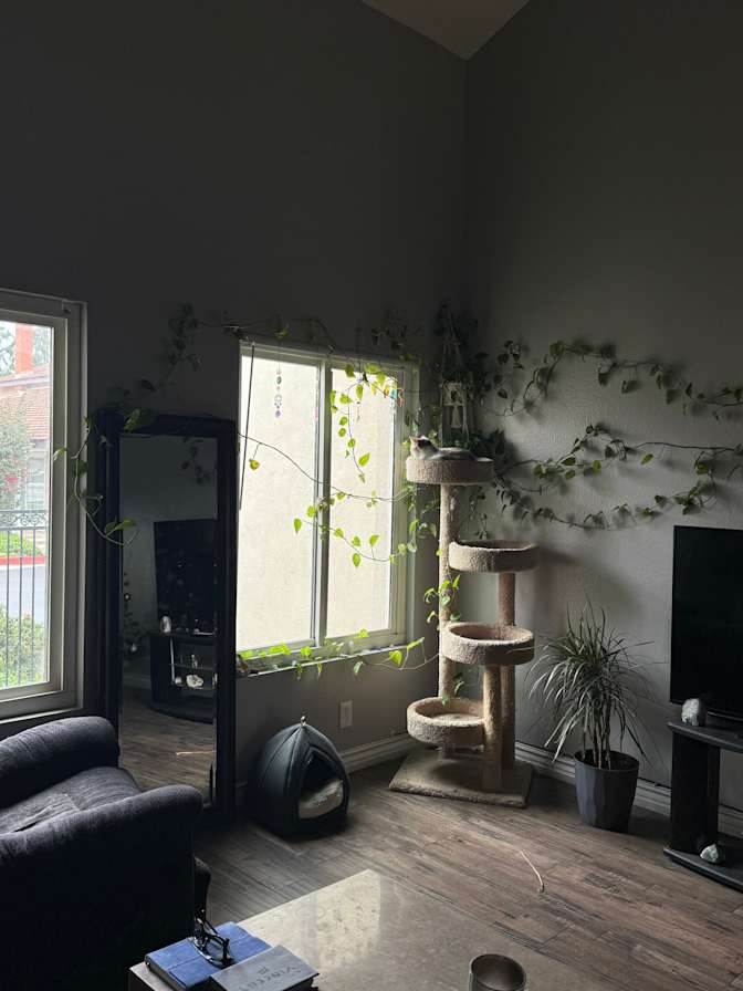 Vinny's room
