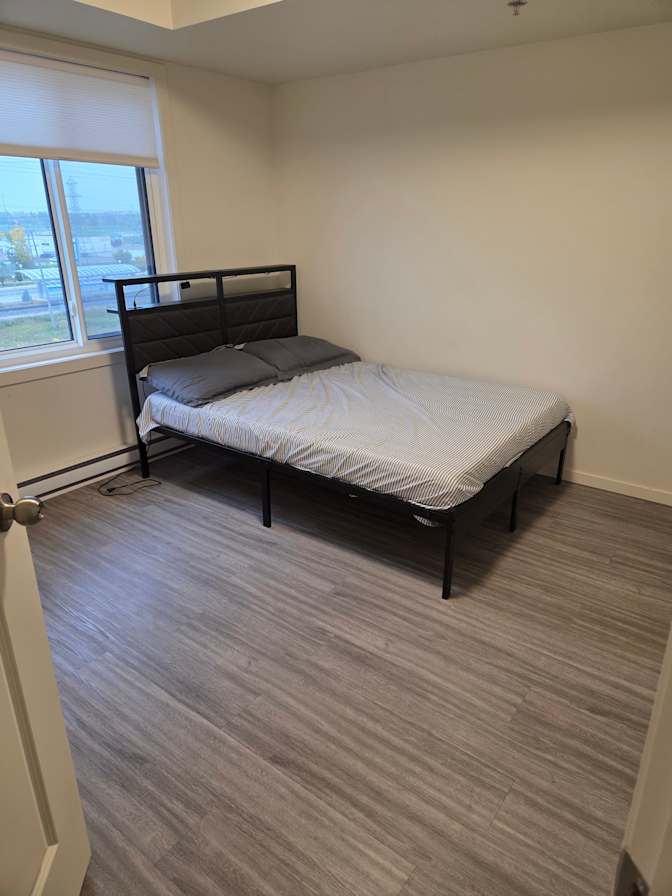 Shane's room