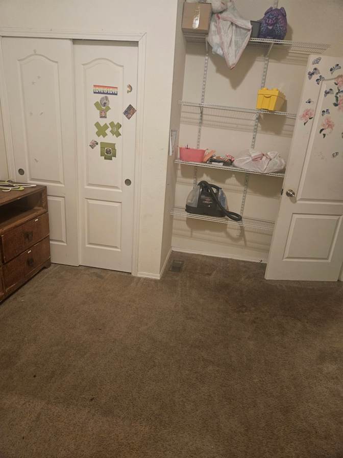 Mary's room