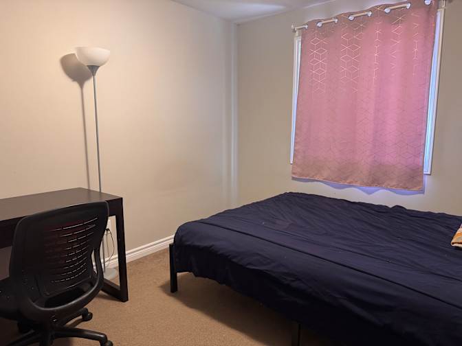 Antony John's room