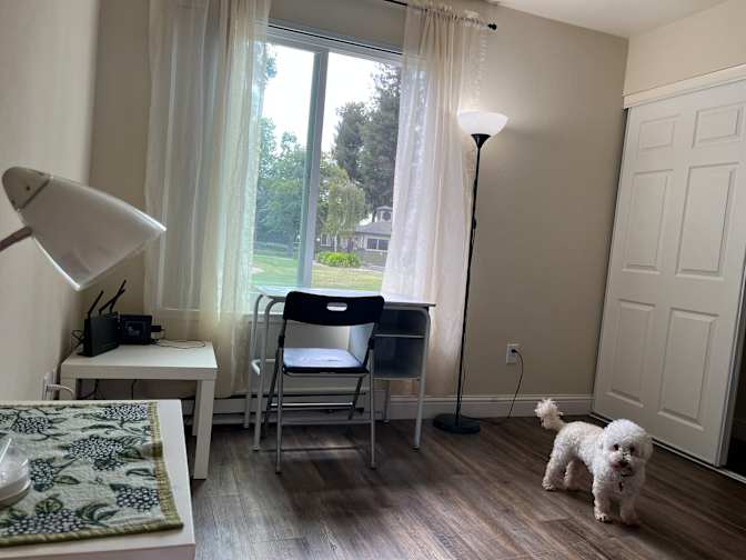 Mary's room