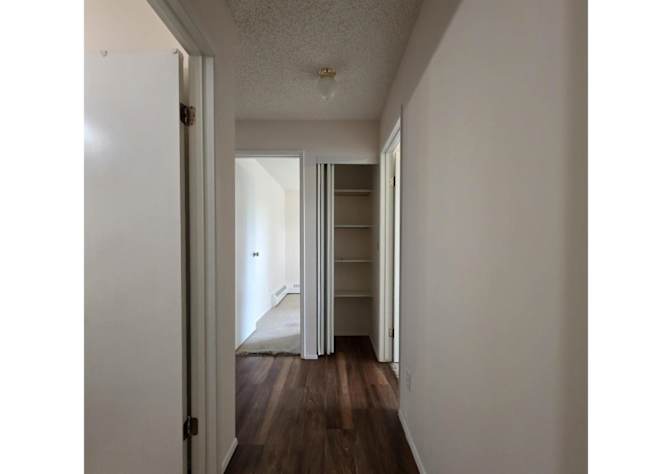 Todd's room