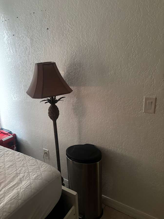 Nadine's room