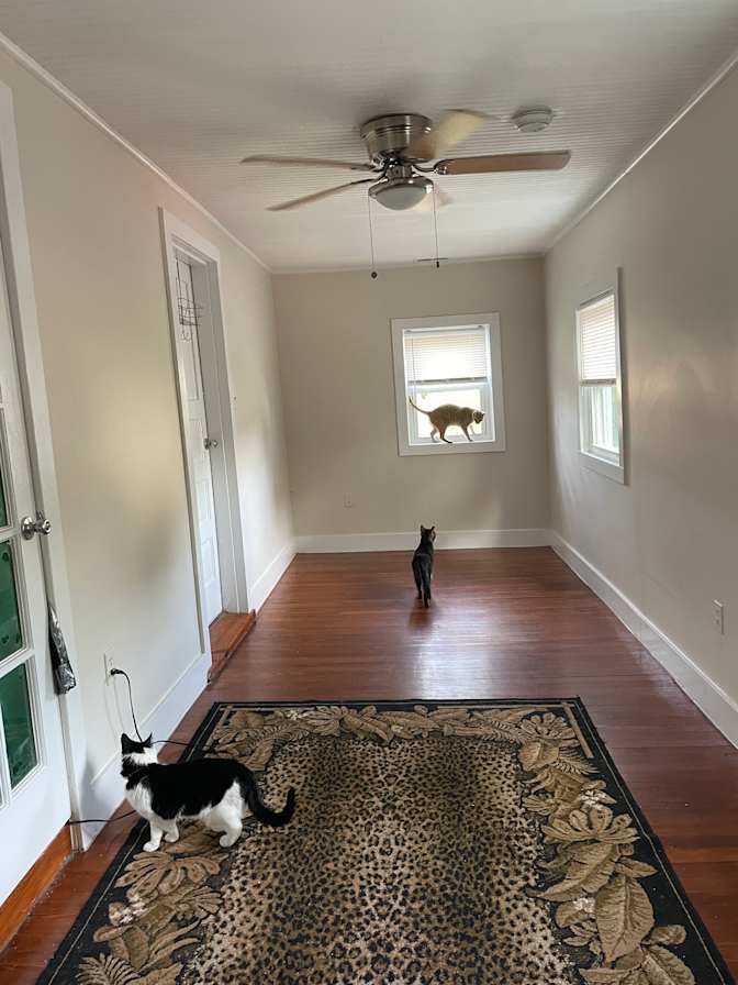 Minxy's room