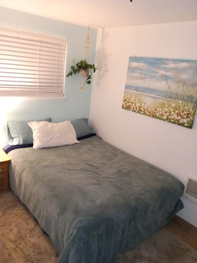 Susan Cook's room