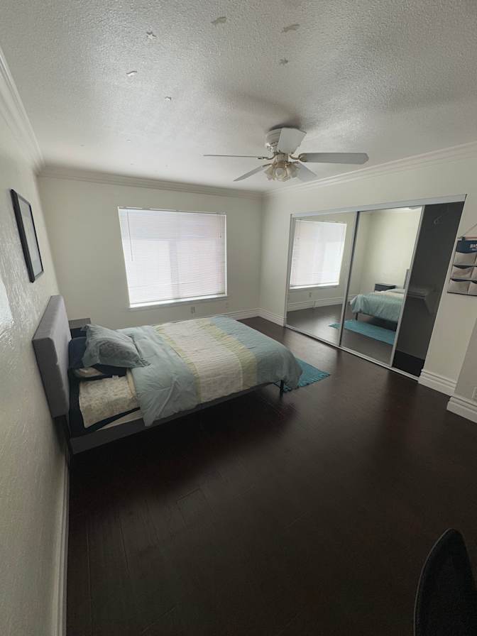 Joey's room
