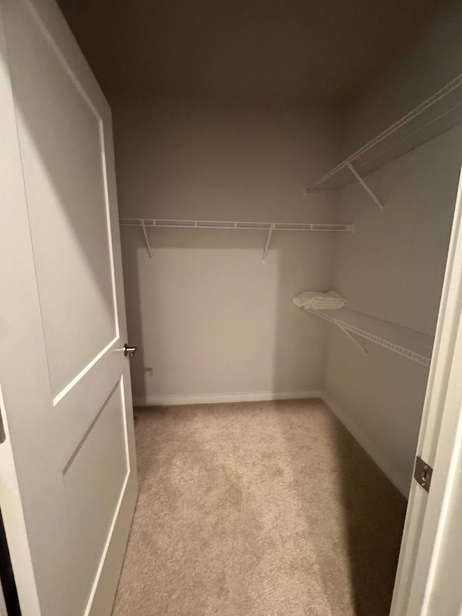 Willow's room
