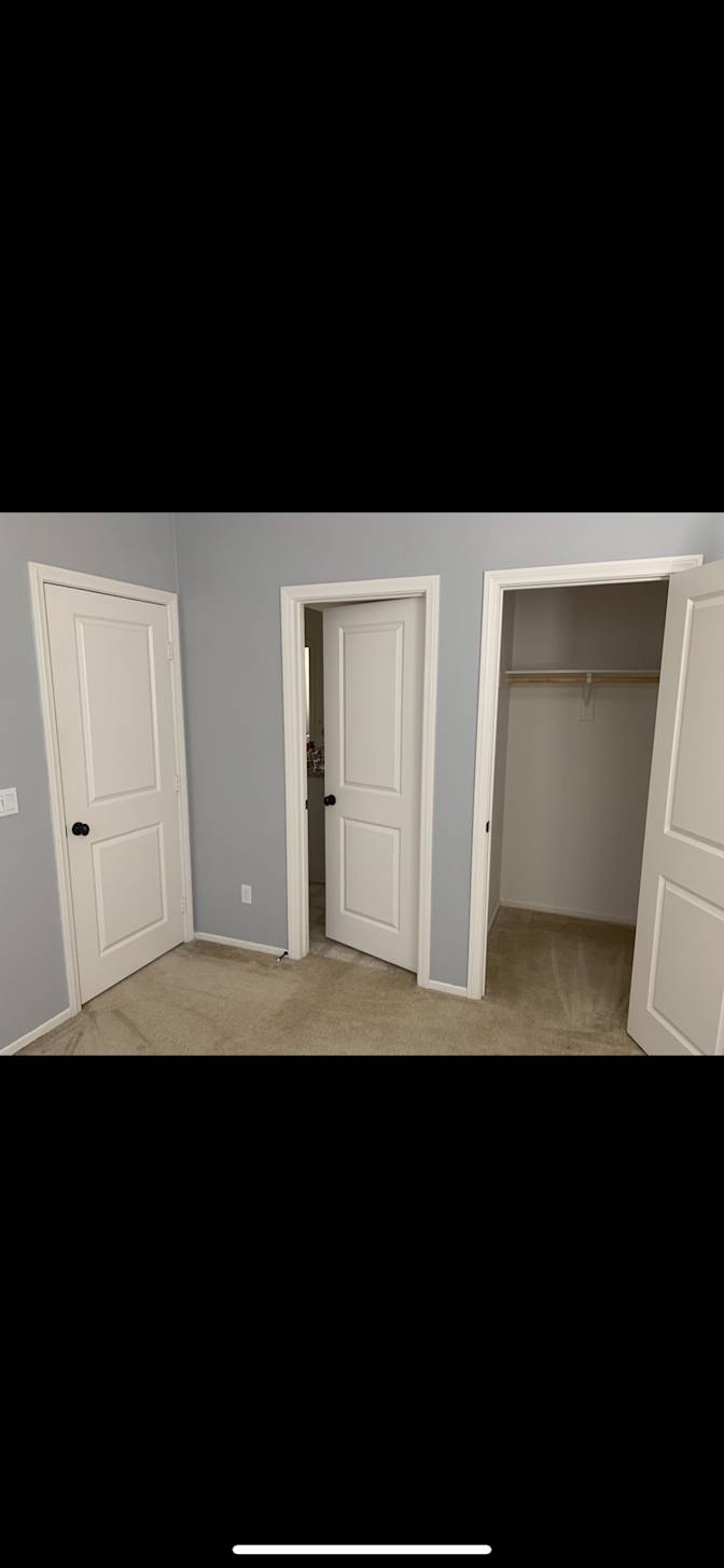 Liz C's room