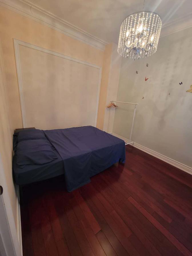 Amy's room