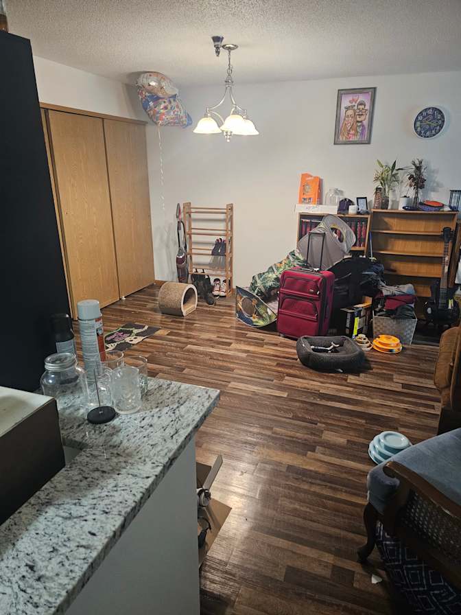 Jason Ramswick's room