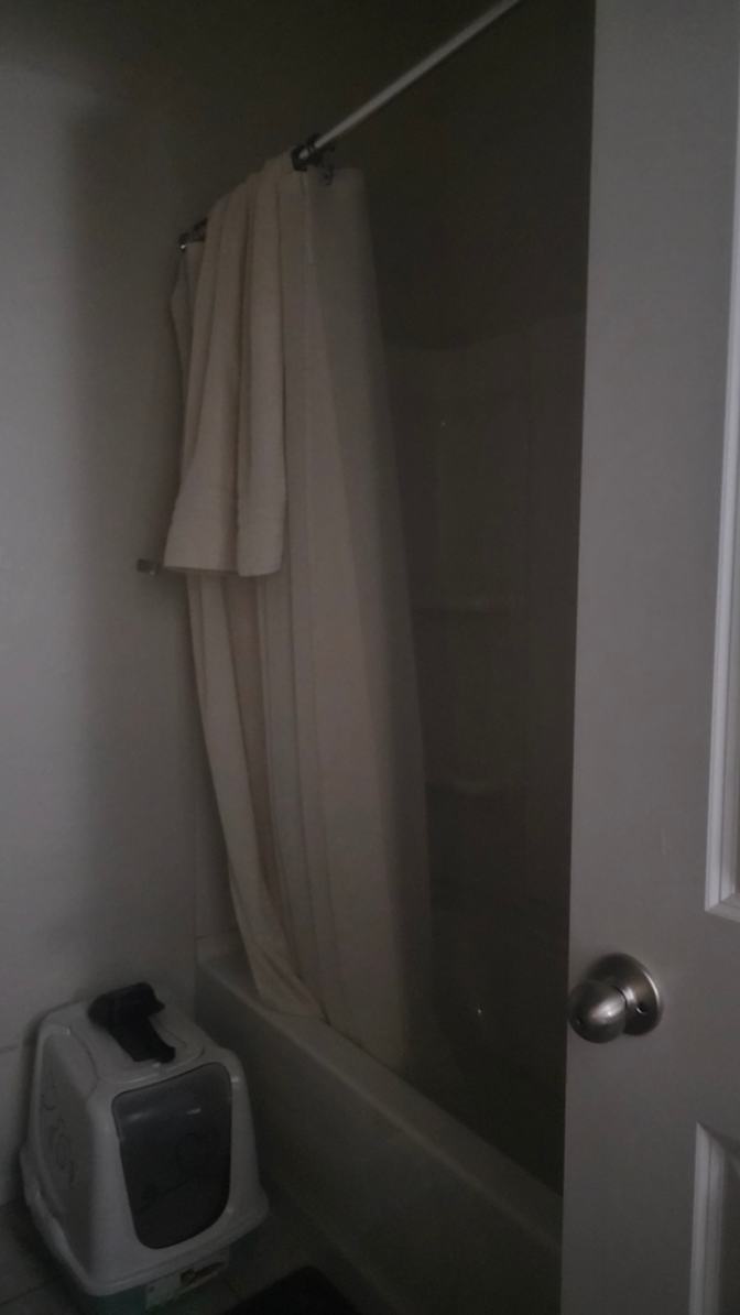 Elyssiah's room