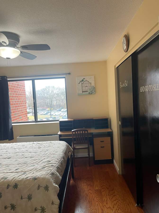 Sandy Habashy's room