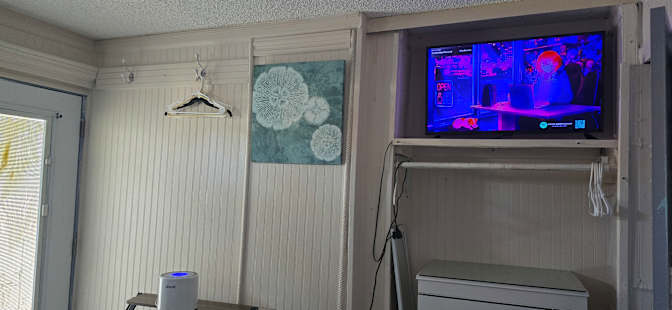 Erika's room