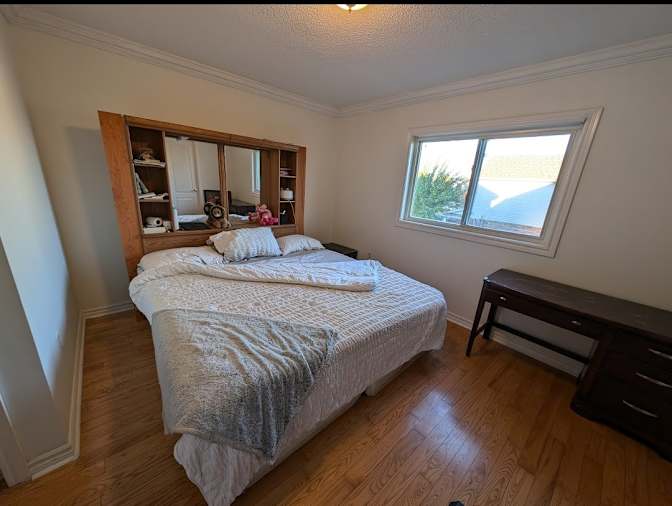 Lily's room