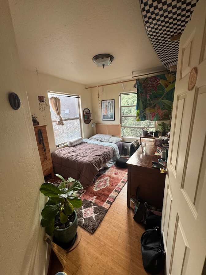 Irelynn's room