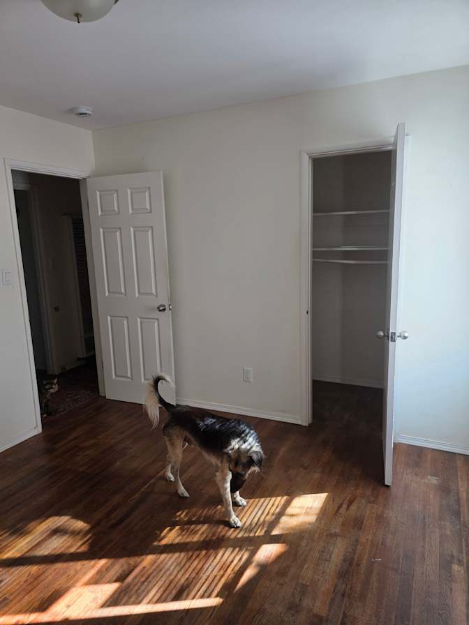 Brie's room