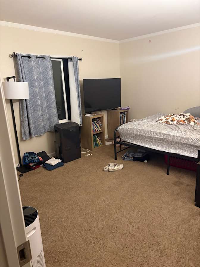 Daisy Carbis's room