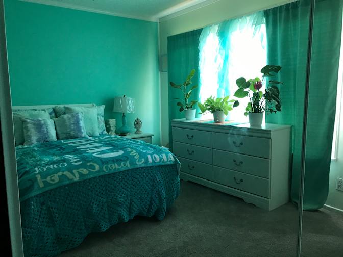 Carol's room