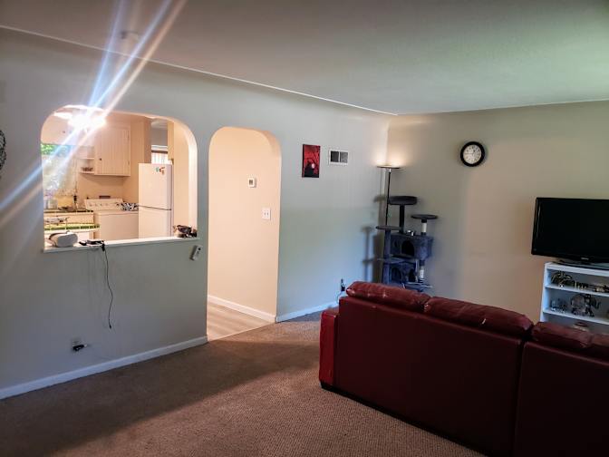Jarrod's room