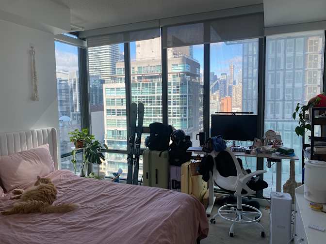 Lauren Higgins's room