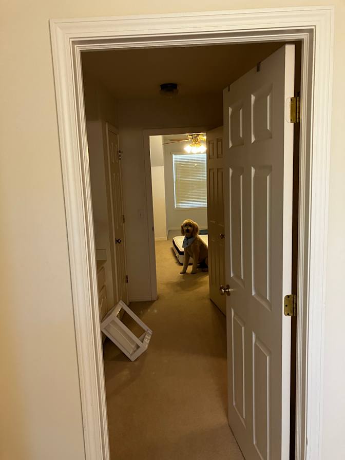 Thomas Rappsilber's room