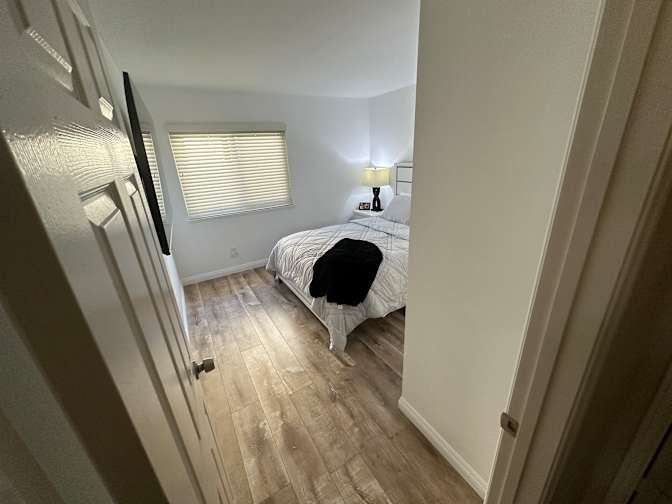 Leonardo's room