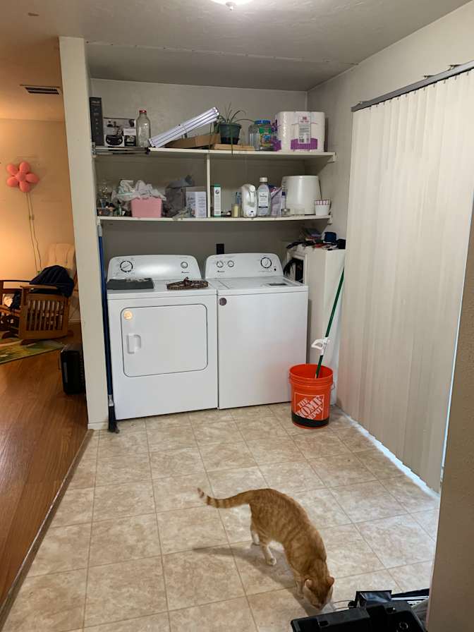 Kinsley's room