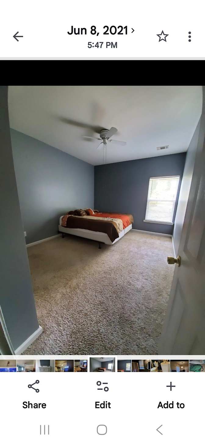 Bee's room