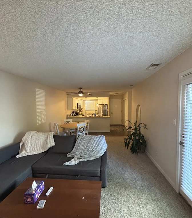 Veronica's room