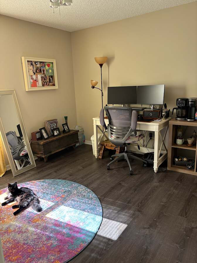 Jess's room