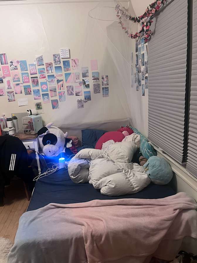 Nevia Levenhagen's room
