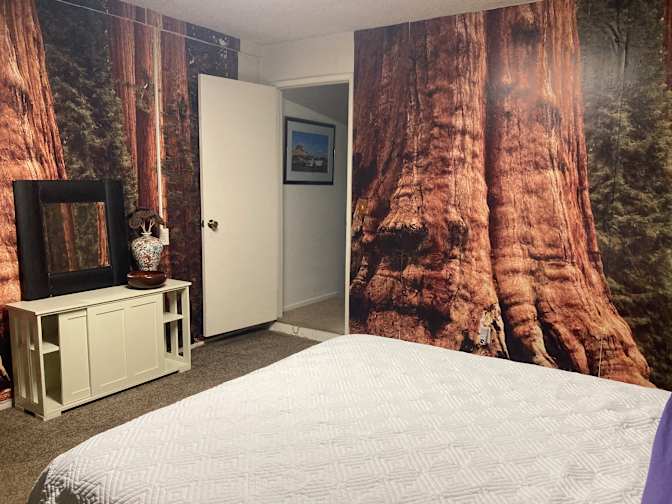 Veronica's room