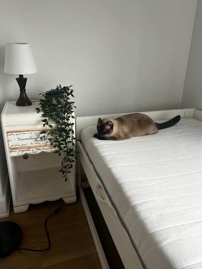 Sophia's room