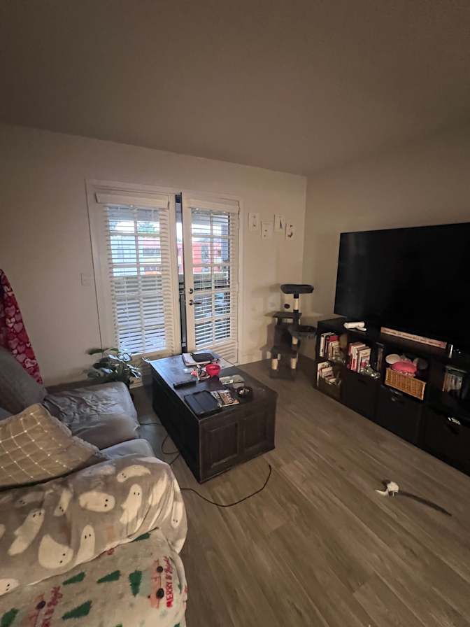 Sarah Schroeder's room