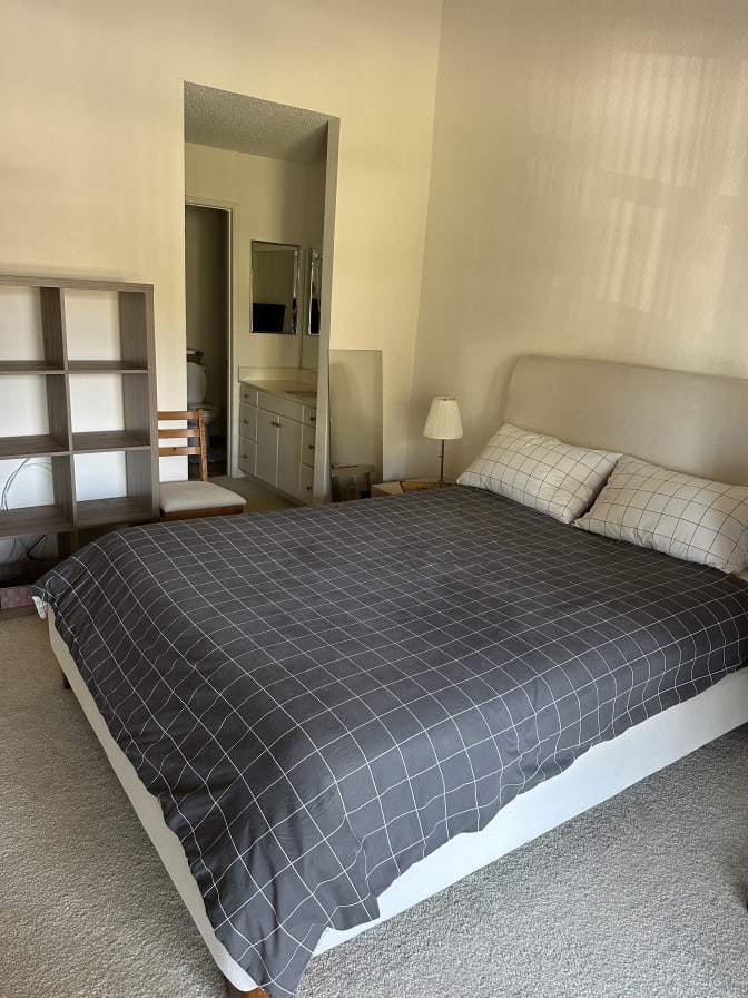 Mohammadreza's room