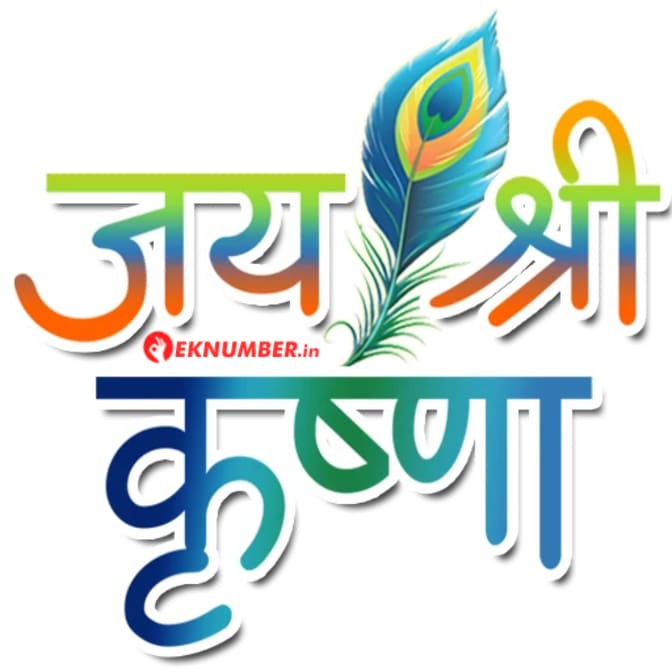 Krishn Meena